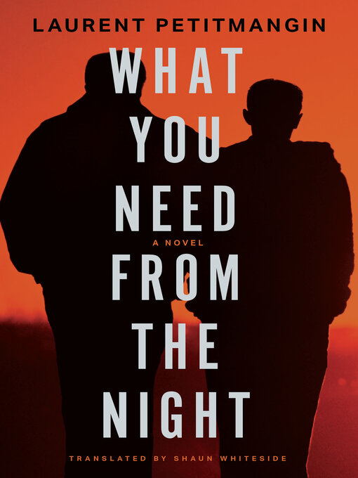 Title details for What You Need from the Night by Laurent Petitmangin - Available